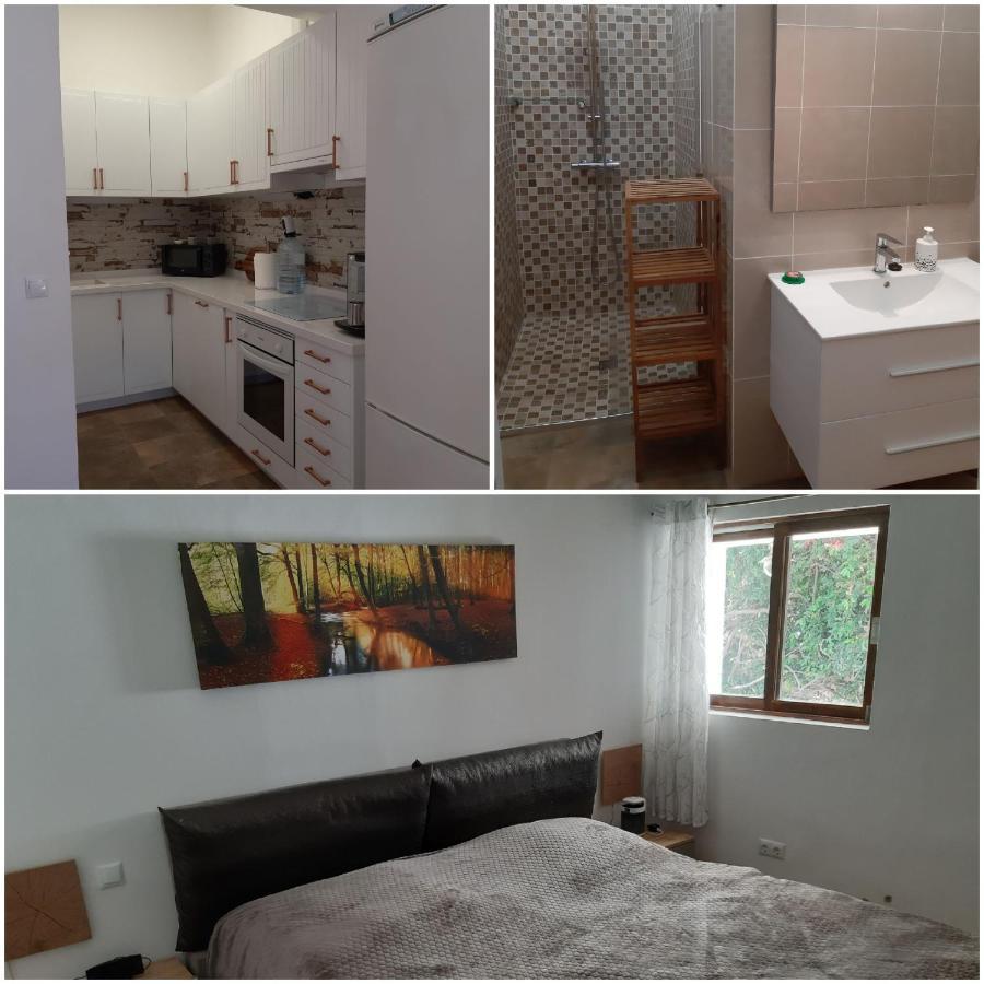 Schoene Wohnung In Puerto De La Cruz Mit Garten. Экстерьер фото